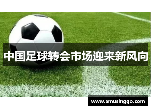 中国足球转会市场迎来新风向